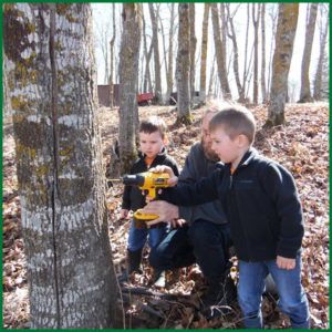 tap-tree-750-new