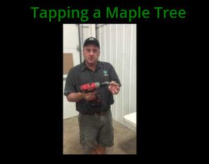 tap-tree